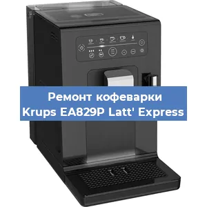 Замена термостата на кофемашине Krups EA829P Latt' Express в Екатеринбурге